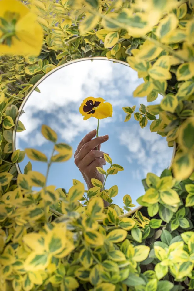 Квітка у дзеркалі
